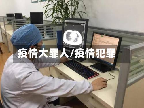 疫情大罪人/疫情犯罪-第3张图片