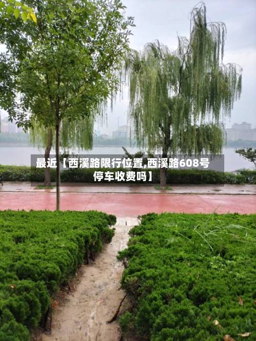 最近【西溪路限行位置,西溪路608号停车收费吗】-第2张图片