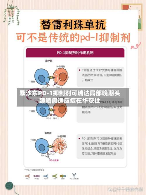 默沙东PD-1抑制剂可瑞达局部晚期头颈鳞癌适应症在华获批