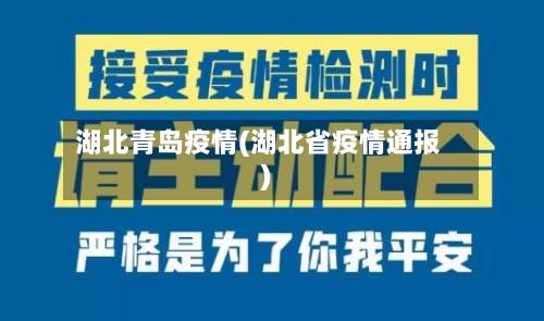 湖北青岛疫情(湖北省疫情通报)-第2张图片
