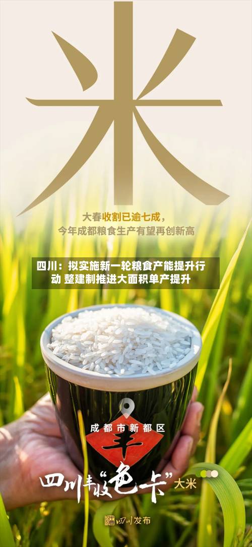 四川：拟实施新一轮粮食产能提升行动 整建制推进大面积单产提升