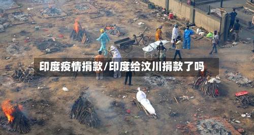 印度疫情捐款/印度给汶川捐款了吗