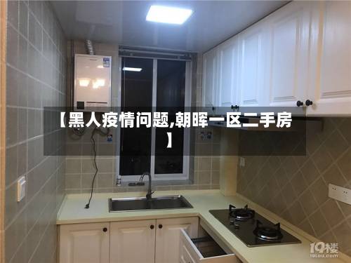 【黑人疫情问题,朝晖一区二手房】-第2张图片