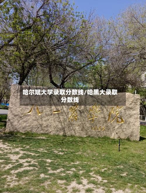哈尔斌大学录取分数线/哈黑大录取分数线-第2张图片