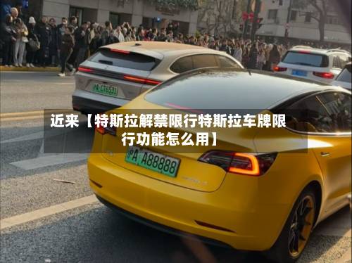 近来【特斯拉解禁限行特斯拉车牌限行功能怎么用】-第3张图片