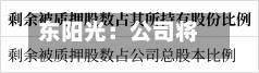 东阳光：公司将于2026年9月22日召开2026年第二次临时股东会