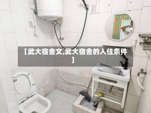【武大宿舍文,武大宿舍的入住条件】-第2张图片