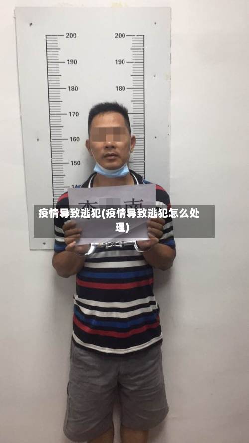 疫情导致逃犯(疫情导致逃犯怎么处理)-第3张图片