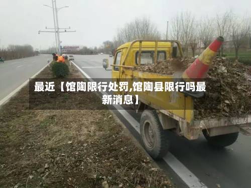 最近【馆陶限行处罚,馆陶县限行吗最新消息】-第2张图片