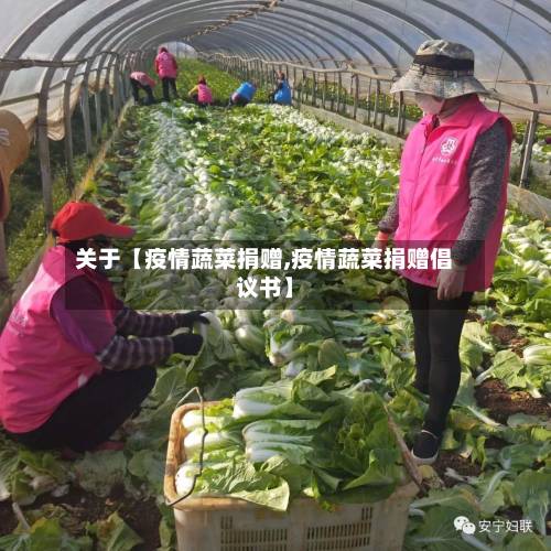 关于【疫情蔬菜捐赠,疫情蔬菜捐赠倡议书】