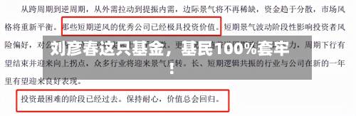 刘彦春这只基金，基民100%套牢！-第3张图片