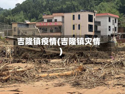 吉隆镇疫情(吉隆镇灾情)-第3张图片