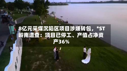 8亿元采煤沉陷区项目涉嫌转包	，*ST岭南遭查：项目已停工、产值占净资产36%-第2张图片