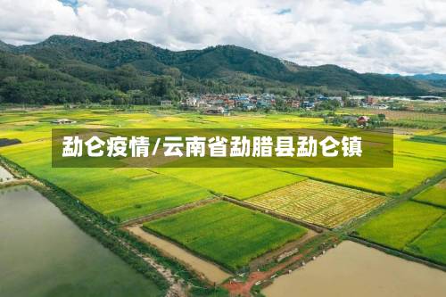 勐仑疫情/云南省勐腊县勐仑镇-第3张图片
