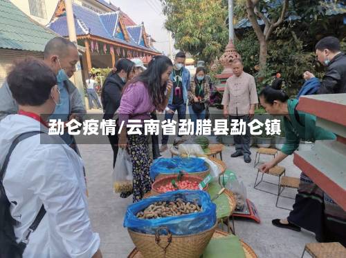 勐仑疫情/云南省勐腊县勐仑镇