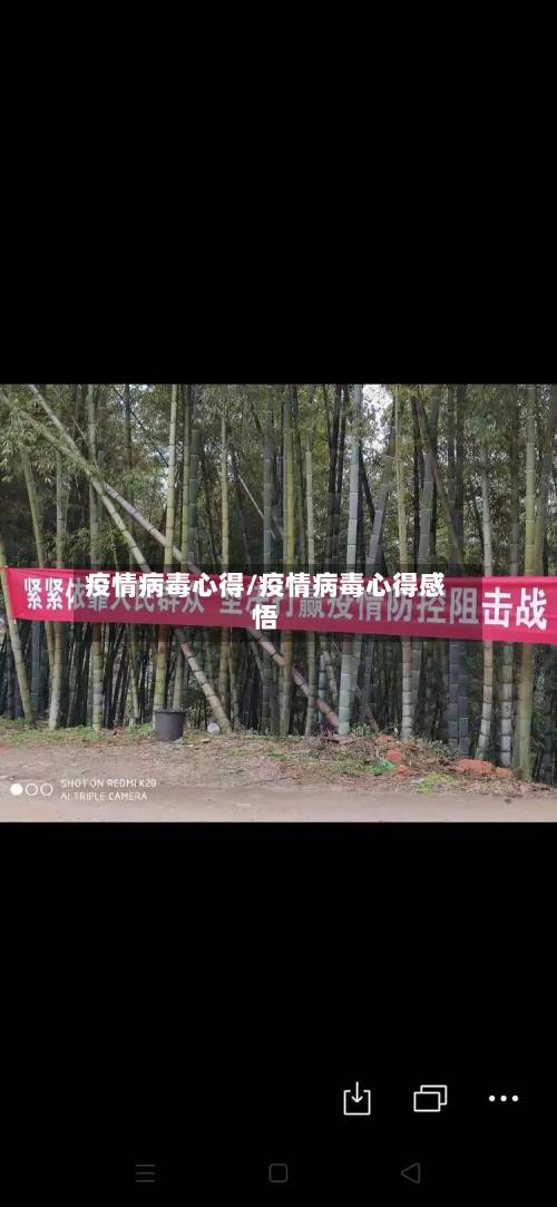 疫情病毒心得/疫情病毒心得感悟