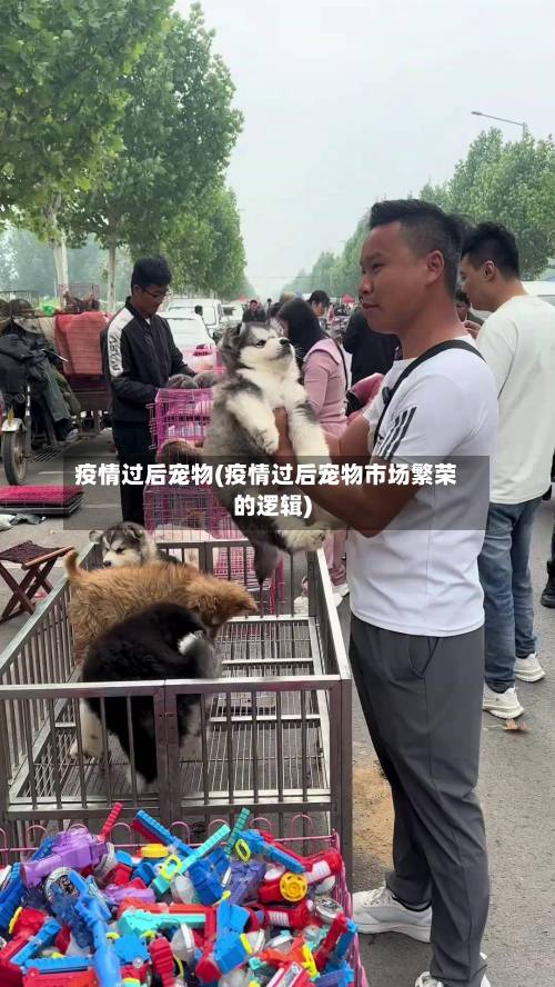 疫情过后宠物(疫情过后宠物市场繁荣的逻辑)-第3张图片