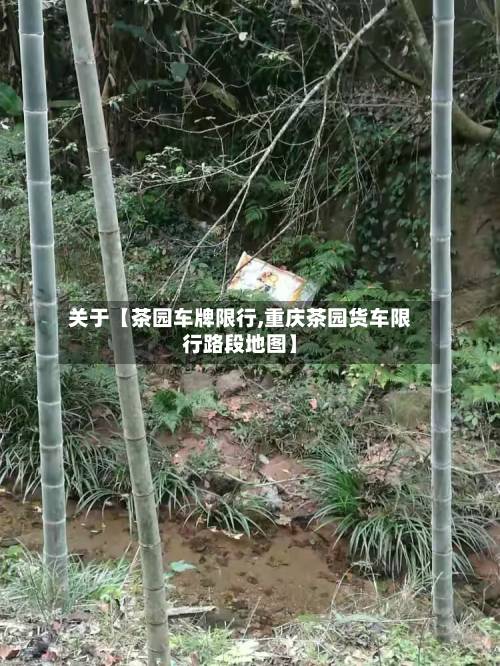 关于【茶园车牌限行,重庆茶园货车限行路段地图】