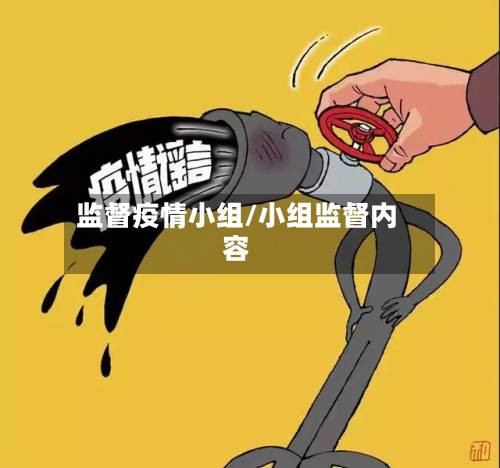 监督疫情小组/小组监督内容-第1张图片