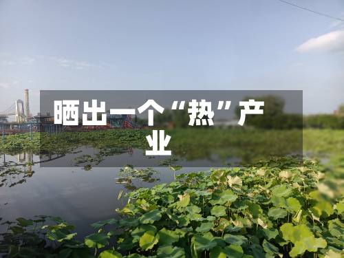 晒出一个“热”产业-第2张图片