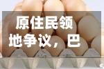 原住民领地争议，巴西大型锂矿项目被迫停工