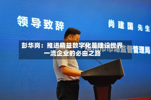 彭华岗:推进精益数字化是建设世界一流企业的必由之路-第2张图片