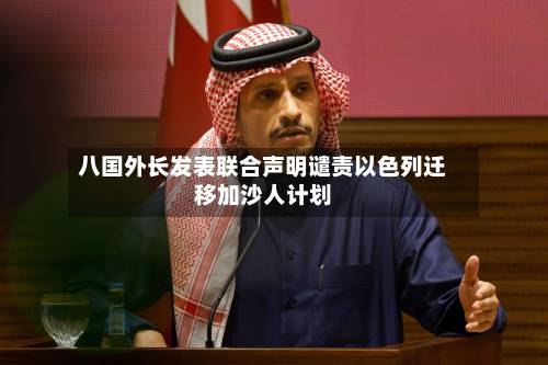 八国外长发表联合声明谴责以色列迁移加沙人计划-第3张图片