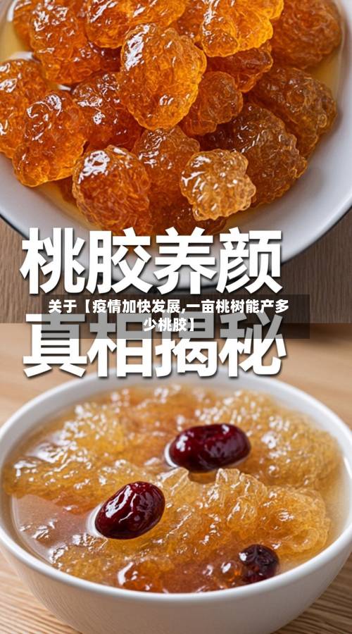 关于【疫情加快发展,一亩桃树能产多少桃胶】