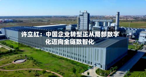 许立红:中国企业转型正从局部数字化迈向全链数智化-第3张图片