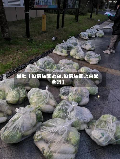 最近【疫情运输蔬菜,疫情运输蔬菜安全吗】
