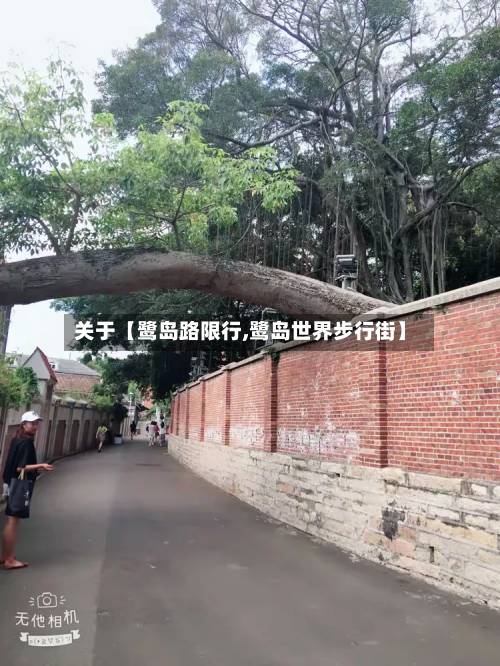 关于【鹭岛路限行,鹭岛世界步行街】