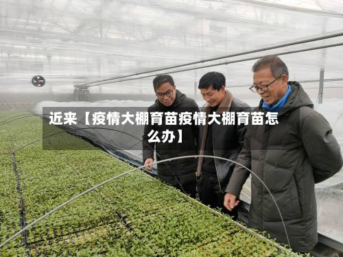 近来【疫情大棚育苗疫情大棚育苗怎么办】