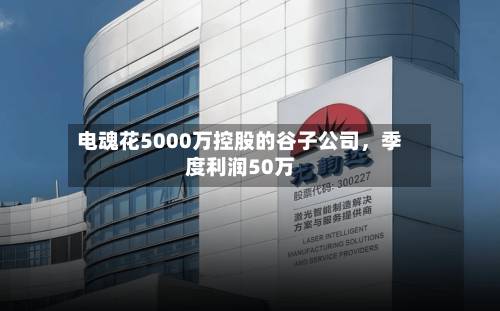 电魂花5000万控股的谷子公司，季度利润50万