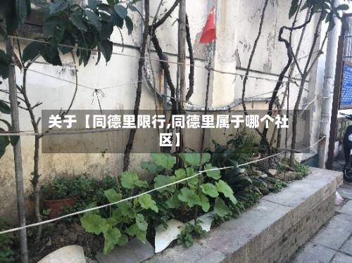 关于【同德里限行,同德里属于哪个社区】
