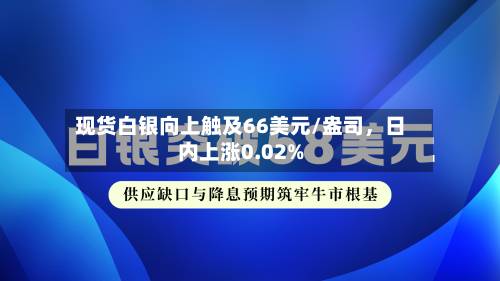 现货白银向上触及66美元/盎司，日内上涨0.02%-第2张图片