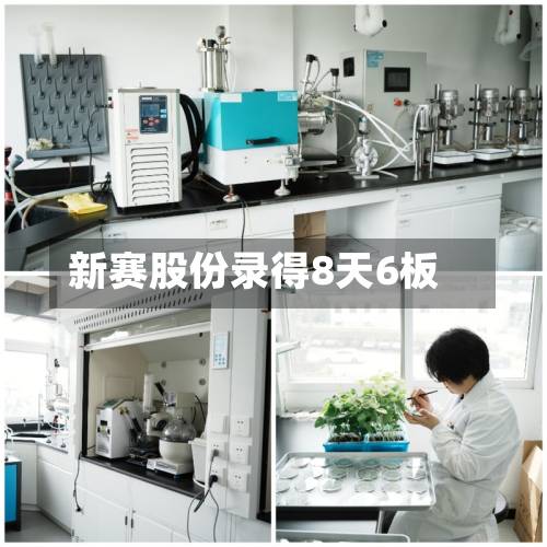 新赛股份录得8天6板-第3张图片