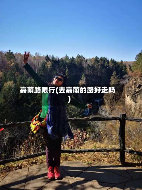 嘉荫路限行(去嘉荫的路好走吗)-第2张图片