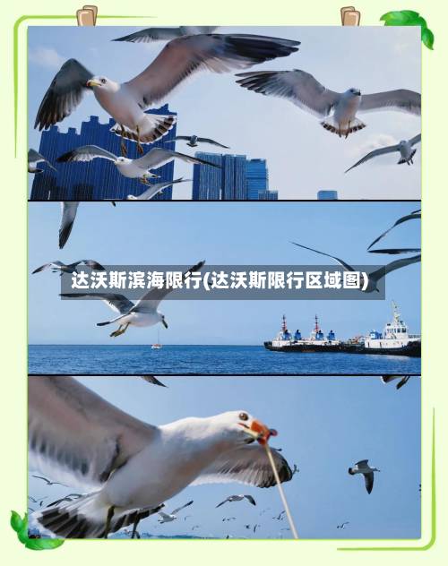 达沃斯滨海限行(达沃斯限行区域图)-第3张图片