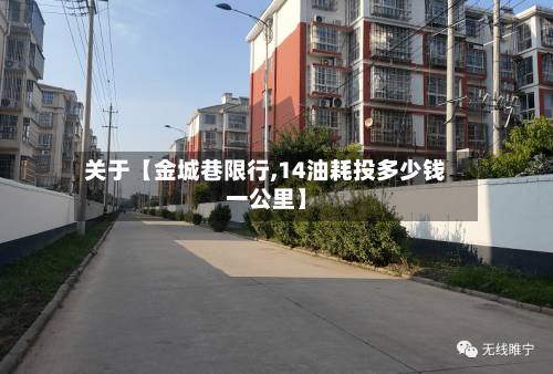 关于【金城巷限行,14油耗投多少钱一公里】-第2张图片