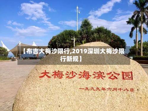 【布吉大梅沙限行,2019深圳大梅沙限行新规】-第3张图片