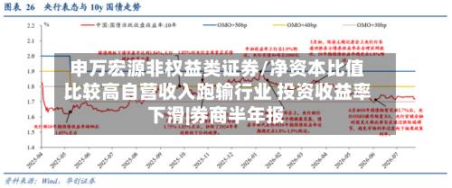 申万宏源非权益类证券/净资本比值比较高自营收入跑输行业 投资收益率下滑|券商半年报-第3张图片