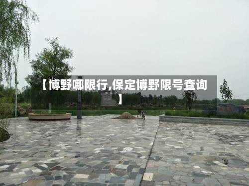 【博野哪限行,保定博野限号查询】-第2张图片