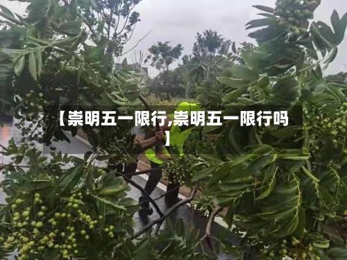 【崇明五一限行,崇明五一限行吗】-第2张图片