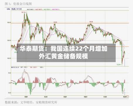 华泰期货：我国连续22个月增加外汇黄金储备规模-第1张图片
