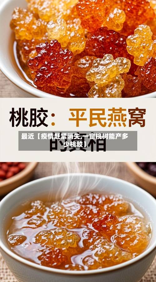 最近【疫情赶紧消失,一亩桃树能产多少桃胶】-第1张图片
