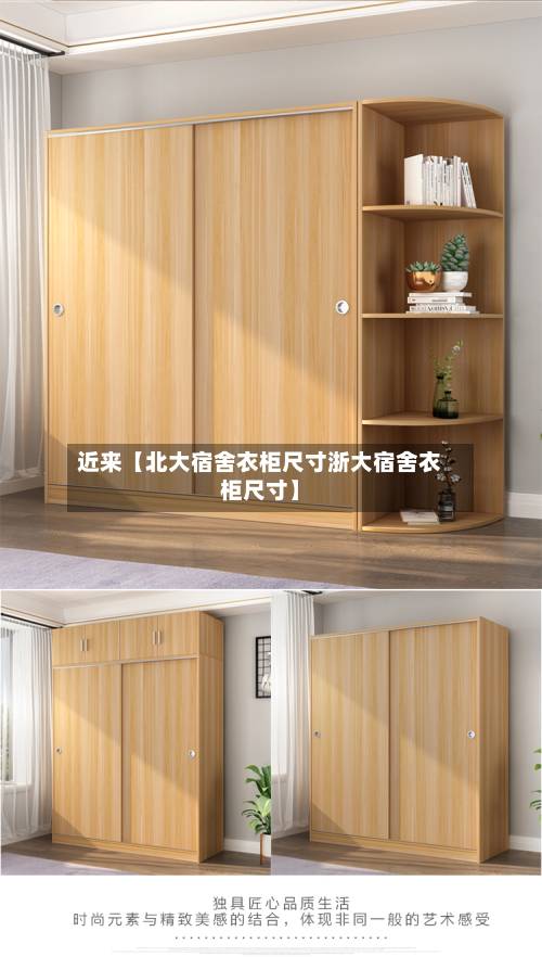 近来【北大宿舍衣柜尺寸浙大宿舍衣柜尺寸】-第2张图片