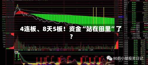 4连板、8天5板！资金“站在田里”了？
