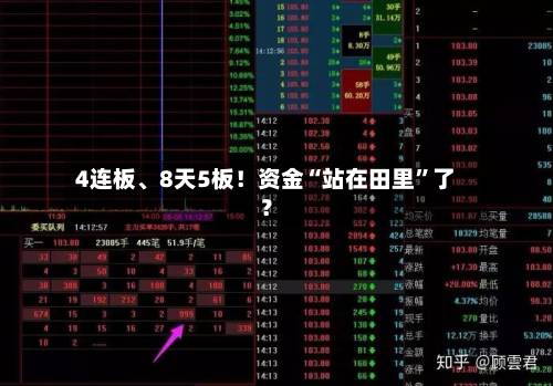 4连板	、8天5板！资金“站在田里”了？-第2张图片