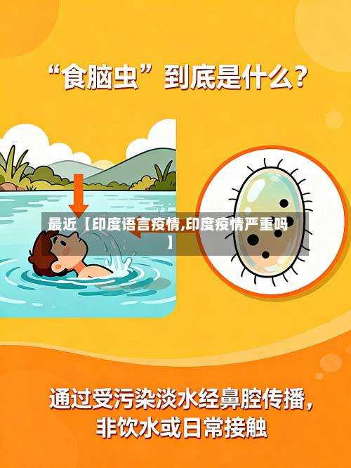 最近【印度语言疫情,印度疫情严重吗】-第3张图片