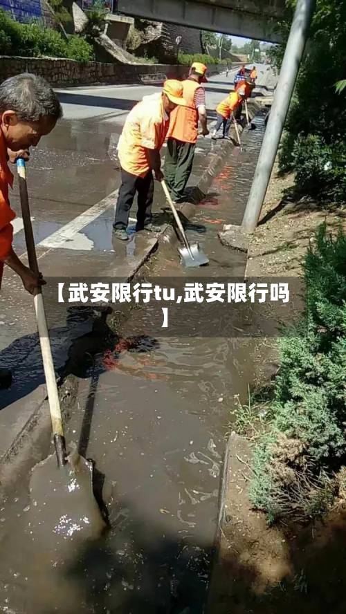 【武安限行tu,武安限行吗】-第1张图片